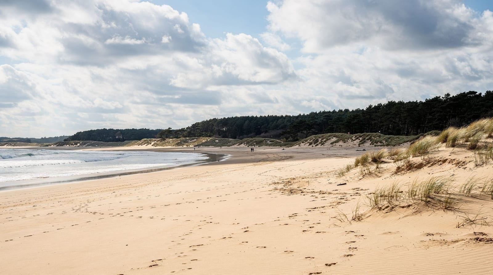 Formby red squirrels guide
